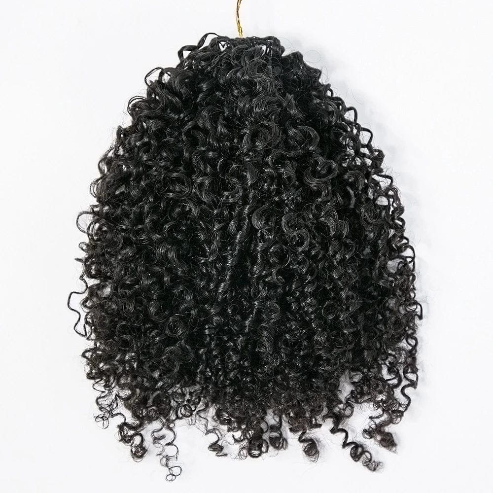 Crochet Extensions de cheveux humains kinky curly pré-séparés sans noeuds Crochet cheveux humains avec boucle pour torsion Boho tresses