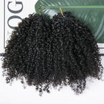 Crochet Extensions de cheveux humains kinky curly pré-séparés sans noeuds Crochet cheveux humains avec boucle pour torsion Boho tresses