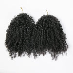 Crochet Extensions de cheveux humains kinky curly pré-séparés sans noeuds Crochet cheveux humains avec boucle pour torsion Boho tresses